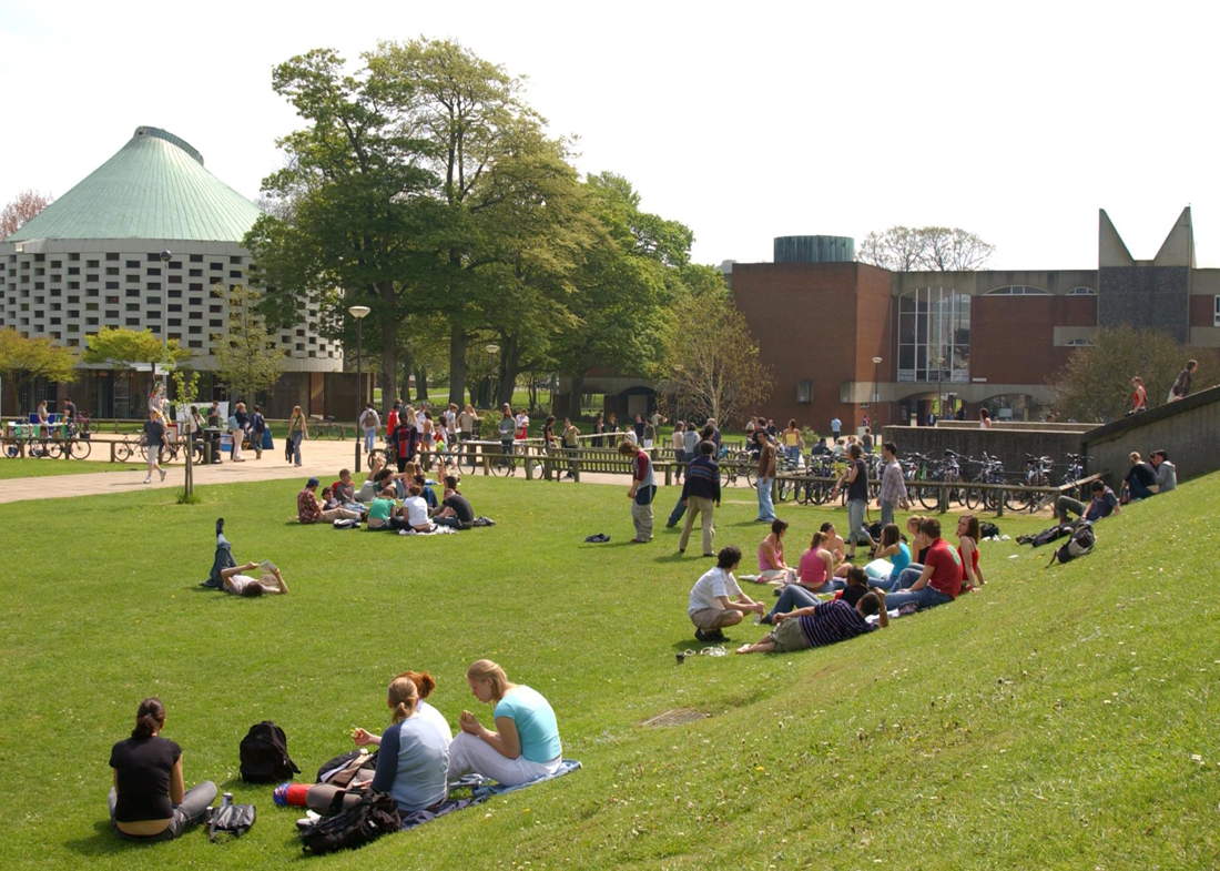 UNIVERSITY OF SUSSEX 4
