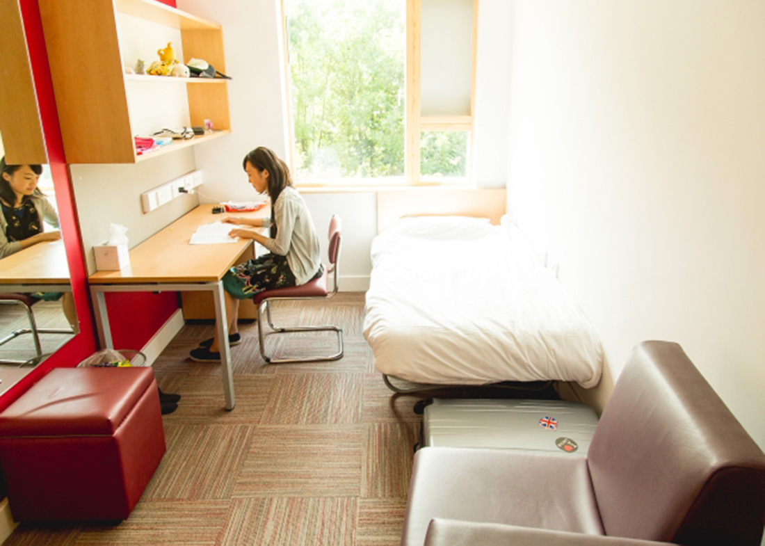 UNIVERSITY OF SUSSEX 5