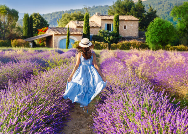 FRANCIA - REGION SELECT